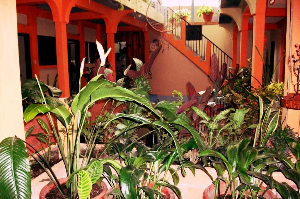 Hotel & Hostal Yaxkin Copán Стая снимка